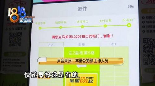 豐巢寄件漏洞折射公共服務(wù)缺失 關(guān)門提示模糊、客服失責(zé)亟待整改